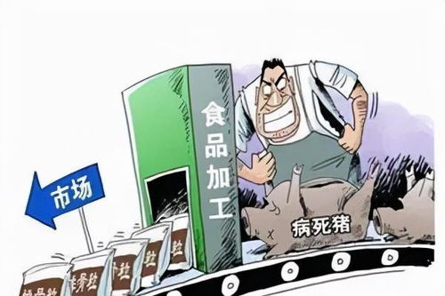 蕉城法院嚴懲食品犯罪 生產銷售病豬肉與酒類經營亂象敲響警鐘